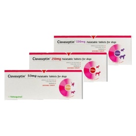 Clavaseptin 500 mg, 1 tableta