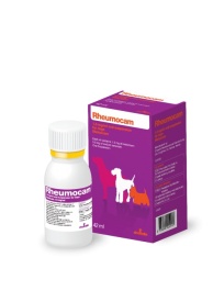 Rheumocam, 1.5 mg/ ml solutie orala, 42 ml - Img 2