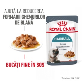 Royal Canin Hairball Care Adult hrana umeda pisica, limitarea ghemurilor de blana (in sos), 1 plic 85 g
