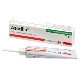 Asocilin 20 g - Unguent - Img 2