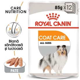 Royal Canin Coat Care Adult hrana umeda caine, blana sanatoasa si lucioasa (pate), 1 plic 85 g