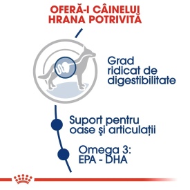 Royal Canin Maxi Adult hrana uscata caine, 3 kg - Img 2