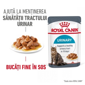 Royal Canin Urinary Care Adult hrana umeda pisica, sanatatea tractului urinar (in sos), 1 plic 85 g