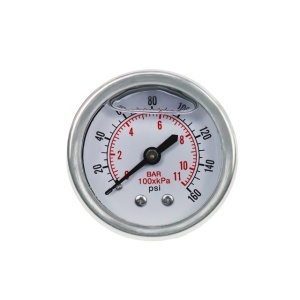 ProGARDEN manometru inox, 0-11bar, orizontal, FE1/4", lichid anti-vibratii - Img 3