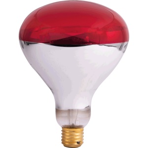 Bec Infrarosu 250w