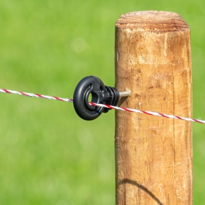 Fir gard electric 1000 m – 95 kg rezistență – 0,5 Ω/m - Img 2