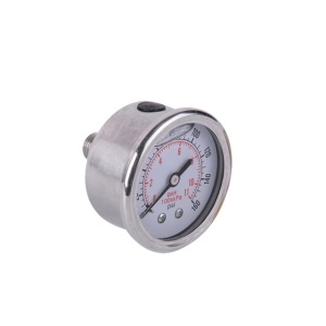ProGARDEN manometru inox, 0-11bar, orizontal, FE1/4", lichid anti-vibratii - Img 1