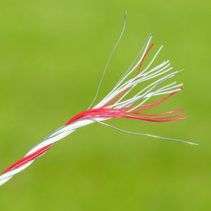 Fir gard electric 1000 m – 95 kg rezistență – 0,5 Ω/m - Img 3