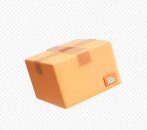 Paket Veš -muški slip