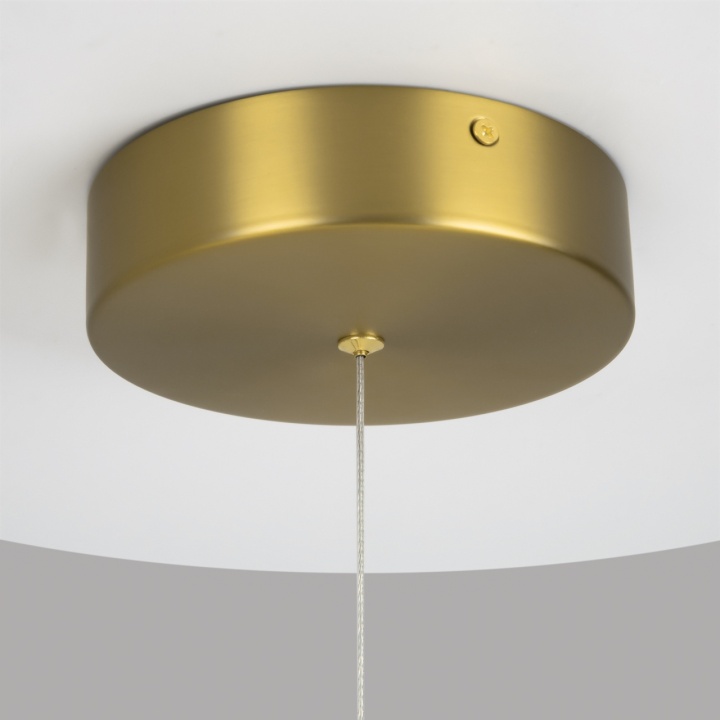 Corp de iluminat suspendat Radiance L 115.6 x l 80 cm 3000K - Auriu - Img 3