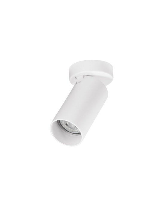 Spot Oso Alb Ø7 x H 13 cm - Img 2