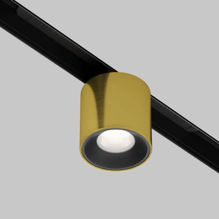 Proiector pentru sina Sina magnetica Exility DIMABIL - 19.3 cm, Brass - Img 2