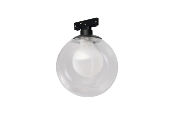 Corp magnetic Delta Dorado D12 CCT - Transparent