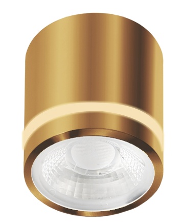 Spot aplicat Vici Ip44 12W Cct Switch - Auriu