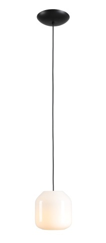 Pendul Flask 18 cm 1xE14 - Orhidee