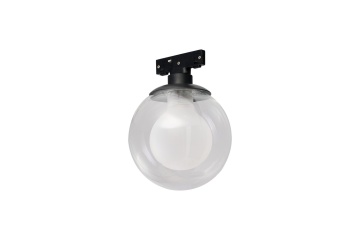 Corp magnetic Delta Dorado D10 CCT - Transparent