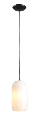 Pendul Flask 19 cm 1xE27 - Orhidee