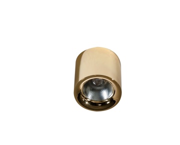Spot aplicat Mane 30W - Auriu
