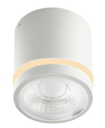 Spot aplicat Vici Ip44 12W Cct Switch - Alb