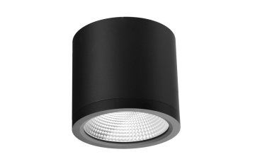 Spot aplicat Conyon Ip54 25W Cct Switch - Negru