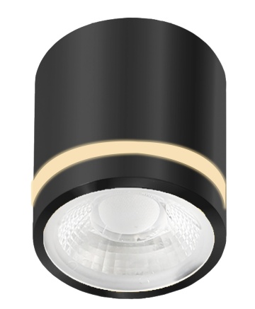 Spot aplicat Vici Ip44 12W Cct Switch - Negru