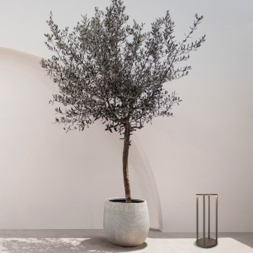 Lampa decorativa Faro 3000K - Grafit