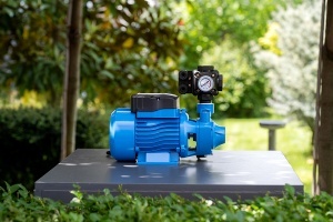 Περιφερειακή αντλία νερού Gmax QB 1 Ιντσας