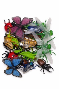Set figurine insecte