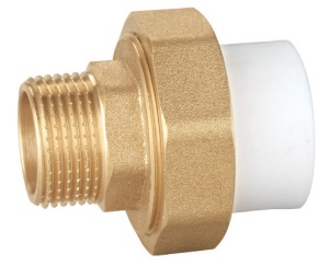 Holender PPR 20*1/2" FE