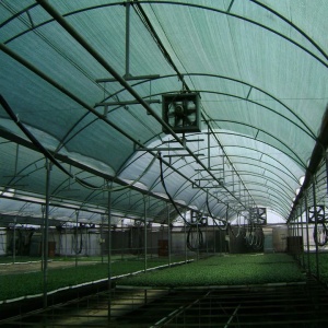 Plasa umbrire 4x100m (400m²/Rola) - Img 3