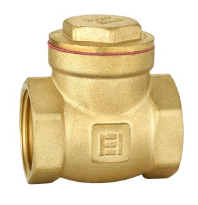 Supapa de sens cu clapeta 1", RB-STT11