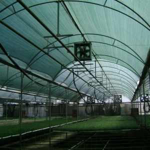 Plasa umbrire 6x100m (600m²/Rola) - Img 3