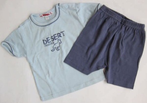 Set pantaloni si tricou baieti SAM103584 12luni