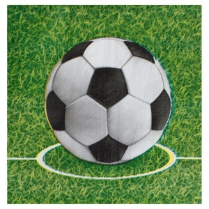 Set 20 Șervețele Petrecere Fotbal, Model Teren – 33 x 33 cm