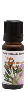 Ulei esential de ARBORE DE CEAI (Tea Tree) 10 ml