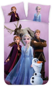 Disney Regatul de gheață Friendship husă pilotă pentru copii 100×140 cm, 40×45 cm