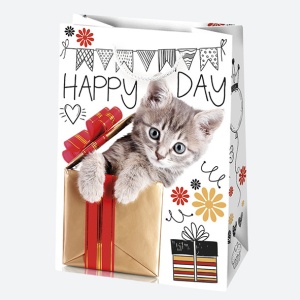 La mulți ani Friends Pungă cadou de hârtie Happy Birthday 23x32x11 cm - Img 4