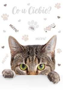 Pisică Meow Dosar A/4 cu elastic