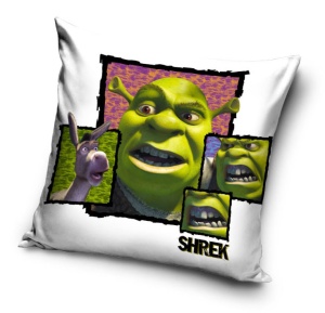 Shrek husă de pernă 40x40 cm Catifea