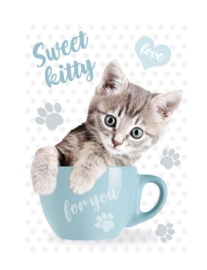 Pisică Sweet Kitty Mapă elastică A4