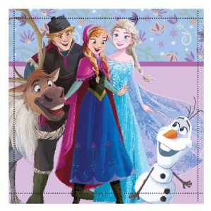 Disney Regatul de gheață Friends Forever prosop de mână, prosop de față 30x30cm