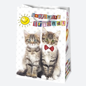 La mulți ani Friends Pungă cadou de hârtie Happy Birthday 23x32x11 cm - Img 3