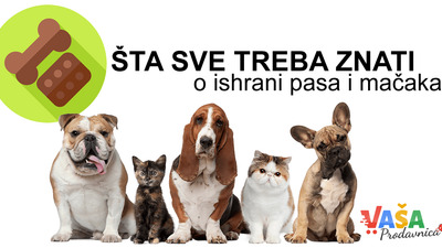 ŠTA SVE TREBA ZNATI O ISHRANI PASA I MAČAKA