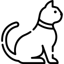 Mačke