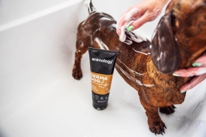 Kupanje psa Animology Derma Dog šamponom za osetljivu kožu