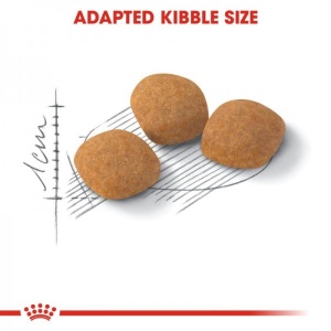 Royal Canin Suva hrana za odrasle mačke Exigent Protein Preference - 400gr. - Img 3