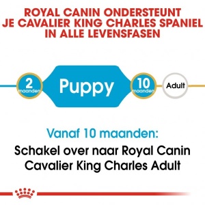 Royal Canin Suva hrana za pse Cavalier King Charles Puppy 1.5kg. - Img 2