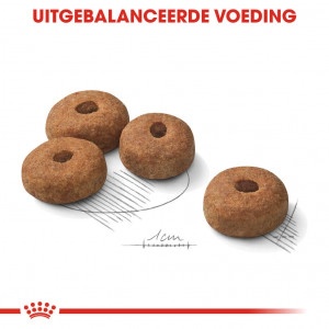 Royal Canin Suva hrana za pse Maxi Sterilised 12kg. - Img 4