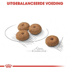 Royal Canin Suva hrana za pse Mini Sterilised 1kg. - Img 4