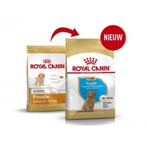 Royal Canin Suva hrana za pse Poodle Puppy 500gr. - Img 4